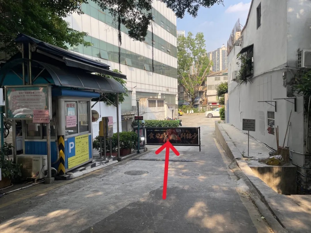 9.jpg 9.jpg